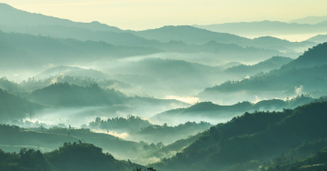 Biometrics and the Microbiome