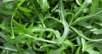 Lemon Arugula with Parmigiano-Reggiano