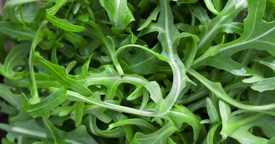 Lemon Arugula with Parmigiano-Reggiano