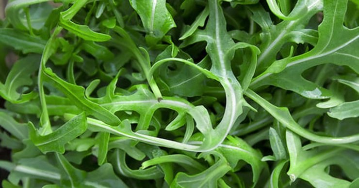 Lemon Arugula with Parmigiano-Reggiano