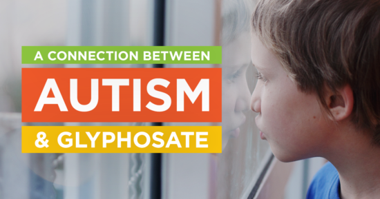 GMO and Autism