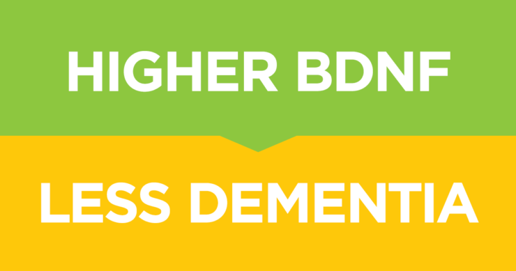 Your Brain Really Does Have A Second Chance!