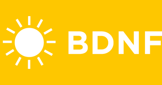 How Sunshine Builds a Better Brain