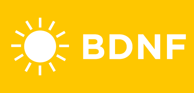 How Sunshine Builds a Better Brain