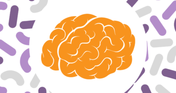 How Gut Bacteria Protect The Brain