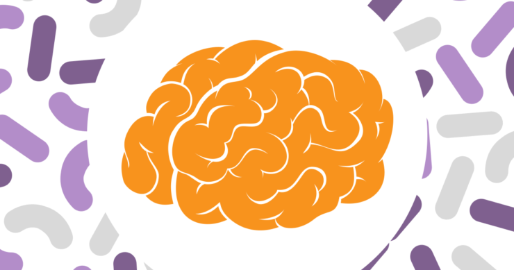 How Gut Bacteria Protect The Brain