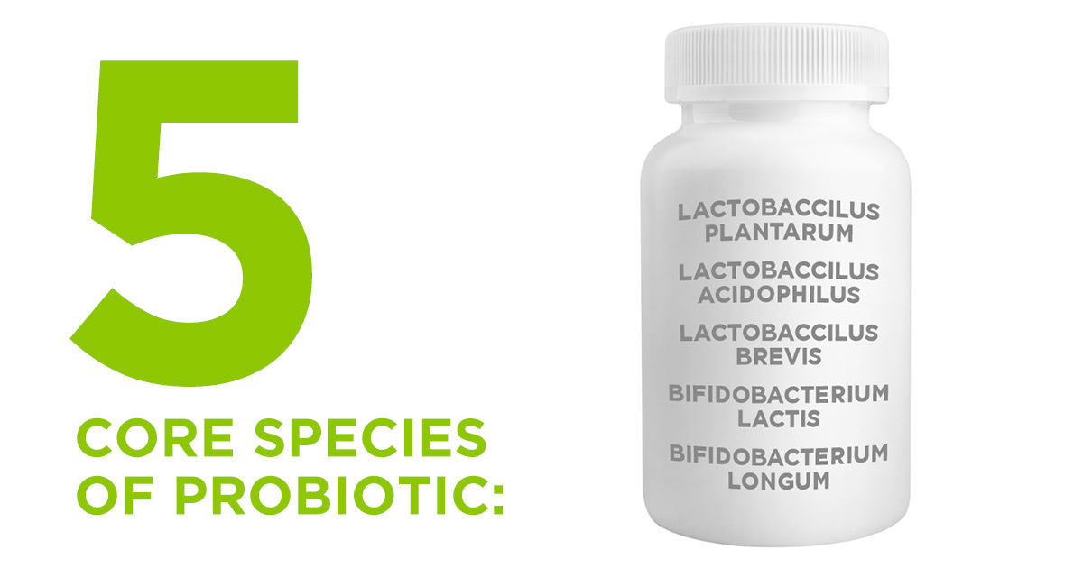 Probiotics: Five Core Species