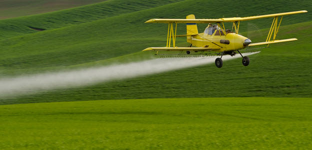 Pesticides Increase Risk for Neurodegenerative Conditions