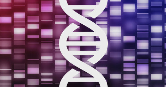 Dietary Epigenetics: New Frontiers