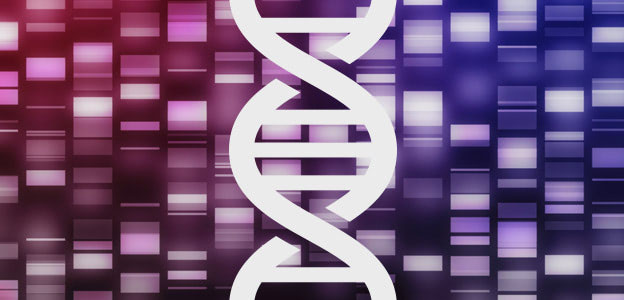 Dietary Epigenetics: New Frontiers