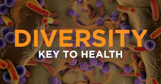 Healthy Gut Bacteria – Diversity is the Key
