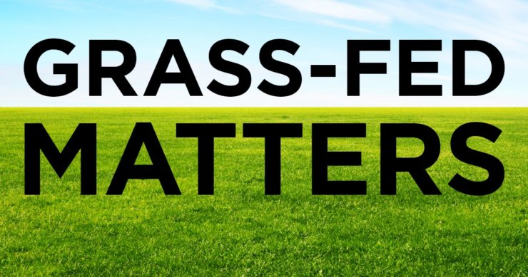 Red Meat Causes Cancer?