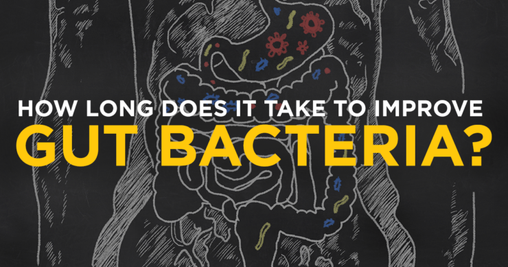 How Long Does it Take to Improve Gut Bacteria?