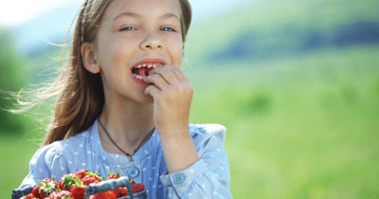 Childhood Obesity – Not Just the Carbs