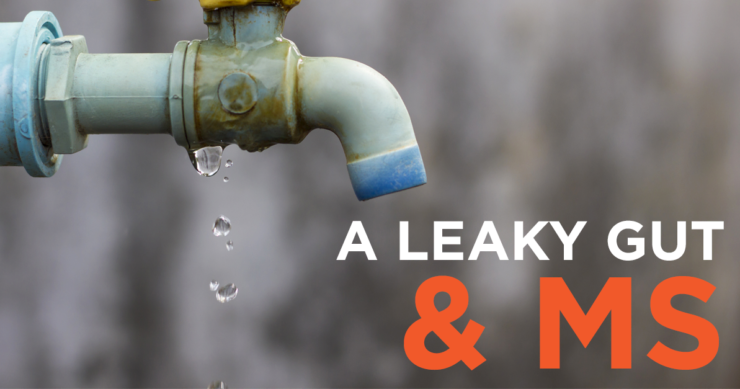 The Role of Gut Permeability in MS