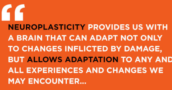 The Gift of Neuroplasticity