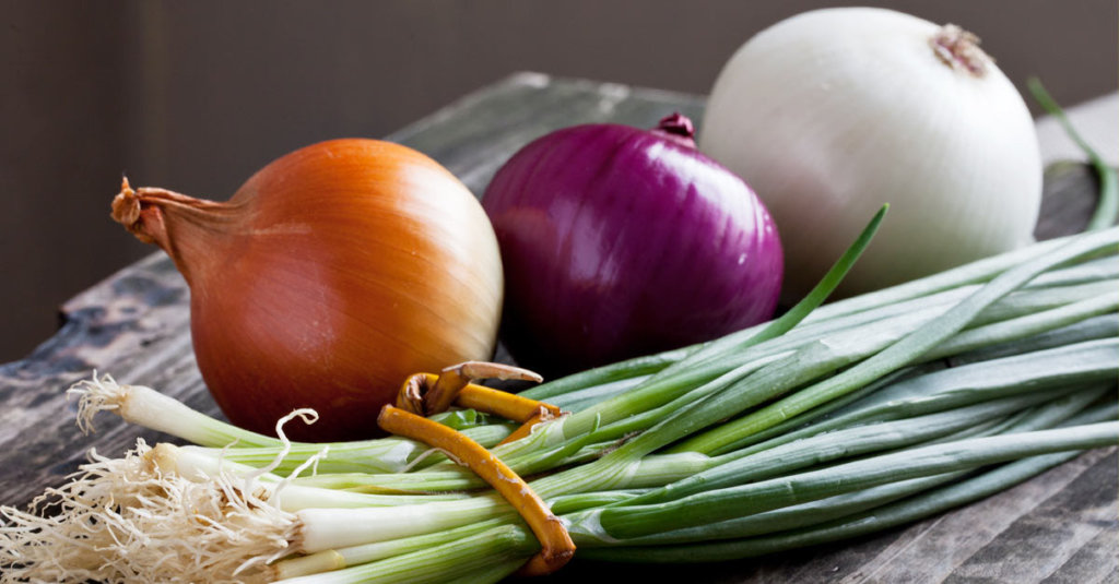 Onions_Prebiotics