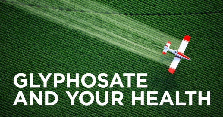 Another Important Threat Posed by GMO Food