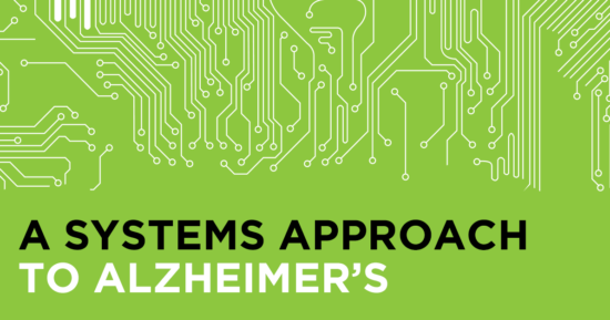 Grain Brain – Scientific Validation