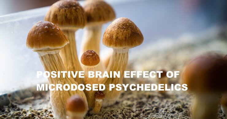 Positive Brain Effects of Microdosed Psychedelics