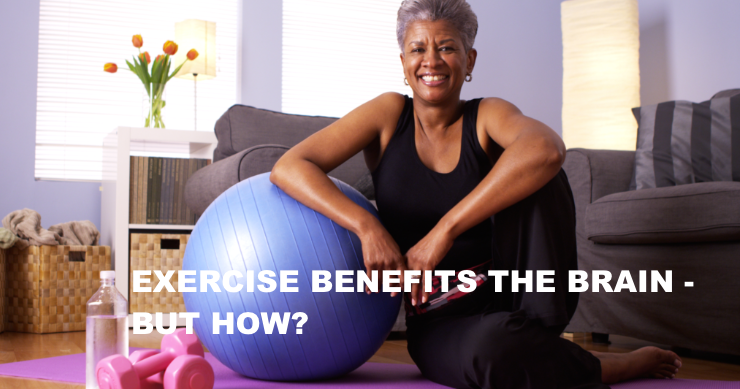 Exercise Benefits the Brain – But How?