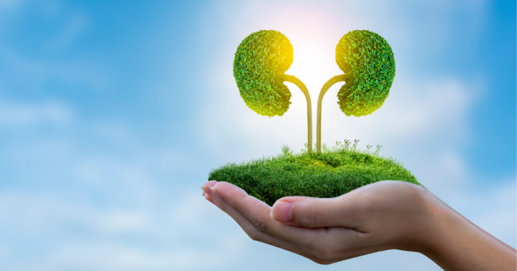 A Mysterious Epidemic and its Relationship to Global Health