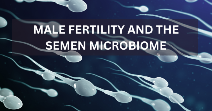 Male Fertility and the Semen Microbiome